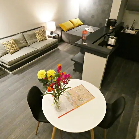 San Domenico Raffaello Apartment Turin