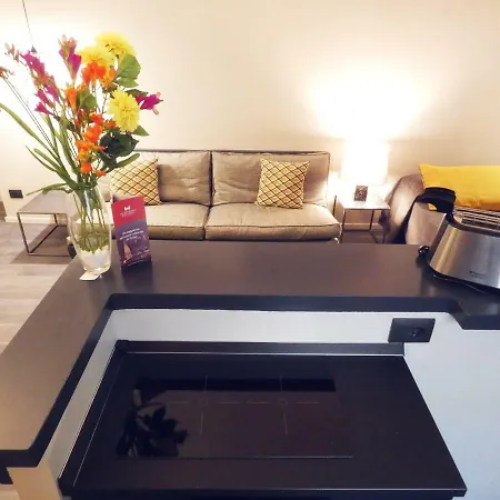 San Domenico Raffaello Apartment Turin
