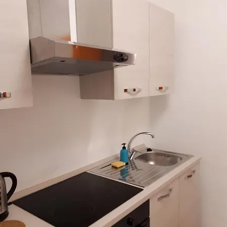 San Domenico Raffaello 토리노