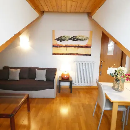 San Domenico Raffaello Τορίνο