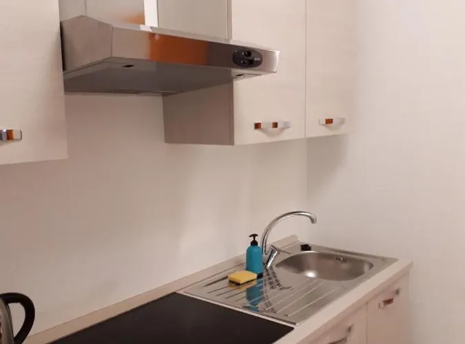 San Domenico Raffaello 토리노