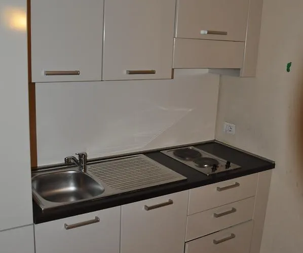 San Domenico Raffaello 토리노